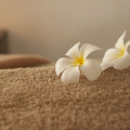 Back, Neck and Shoulder Massage in Arona, Tenerife South | Hotel Estefania Boutique Suites